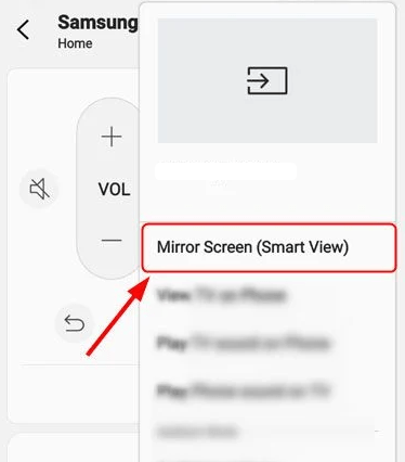 Select the Mirror screen option 