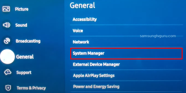 Select System Manager on your TV 
