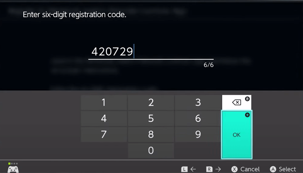 Enter 6 Digit Code on the Nintendo Switch console.