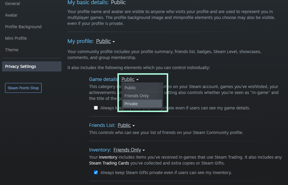 Select Private to Hide the Games Details on Steam.