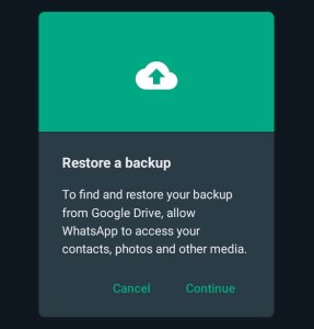 Click Continue to Backup Your Chats 