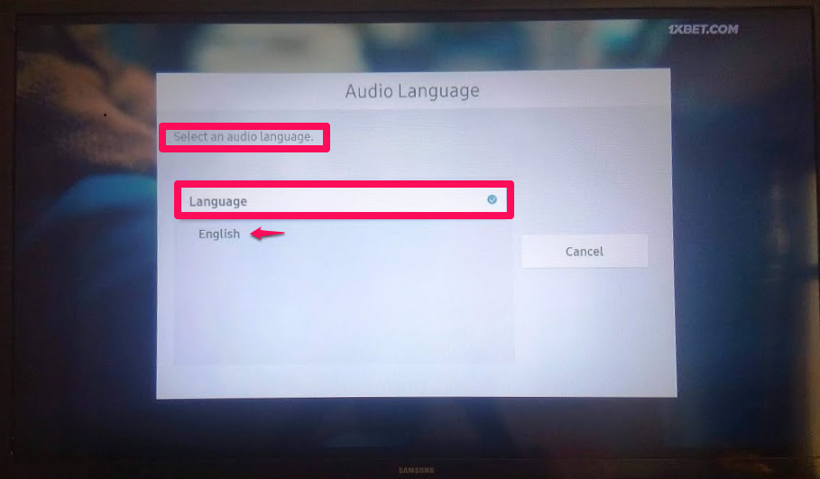 Select your desired audio language on samsung tv